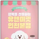 건강한 펫 | 고양비숑프리제분양, 유앤미펫에서 건강한 비숑을 만난 만족스러운 후기