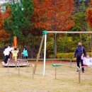 물빛공원 농구장 이미지