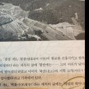 꽃등채 | 곶