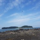 보령낚시