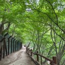 춘천사우동우체국 이미지