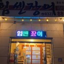 힘센민물장어 이미지