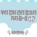 메디페디인천