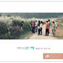 [537번째] Again 산골나라 에덴동산 보곡산골.. 그리고 점심 삼겹살파뤼 4/28(일) 이미지