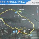 제주시 조천읍 동백동산(冬栢東山) 이미지