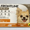 완산종로약국 이미지