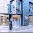 로데오거리(압구정)_251104 이미지