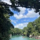 감스테이 | 제주도 쇠소깍 감귤뷰 숙소 스테이하례 후기 🍊 | 감귤밭뷰 힐링 숙소