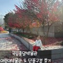 동신대학교 문화박물관(휴관) | 아이와 함께한 가을 나들이 국립중앙박물관 어린이박물관 &amp; 단풍구경 후기