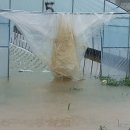 이선국농장 이미지