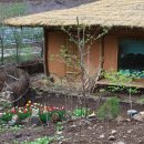 초가민박 이미지