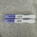 임신 초기 증상 총정리! 4주-15주 주수별 증상과 꼭 해야 할 일 💡