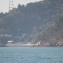 자봉도 Daum카페