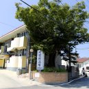 백령리조텔 이미지