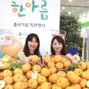 한아름할인마트 이미지