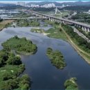 하천(유등천3) 이미지