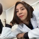 닥터케미