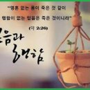 이초석: 교회신문 ＞ 제 1372호 행함이 없는 믿음은 죽은 믿음이다 (마13:18~23) 이미지