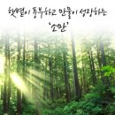 절기 소만(小滿)의 유래 날짜 풍속 속담 인사말 알아보기 이미지