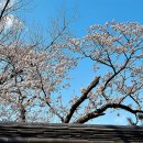 양양향교 이미지