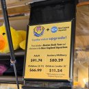 서진싸이언스 | 보스턴 덕투어 현장 예약 할인 출발지 세곳 아이랑 여행 Duck Tour