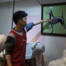 반려동물의상제작 이미지