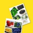 생활속의 우리 옷 이미지