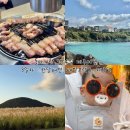 NR-3[평화로]-하-787 | 돌아기랑 3박4일 제주여행 3일차 : 숙성도 애월점, 한담 해변, 새별프렌즈동물원, 제주당 베이커리, 섬곳간