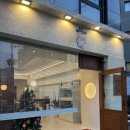 강남고양이분양 호야캣 | 브리티쉬 숏헤어 강남고양이분양 호야캣