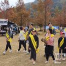 지례초등학교 이미지