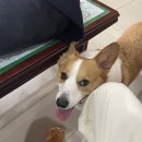 자스실용음악학원 이미지