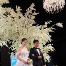 (주)선샤인호텔 | [W.4] 대전 선샤인웨딩홀, 파라디소페르두또 야외예식 후기, 결혼식 하루 두번 간 일상🩶