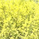 고향농장 이미지