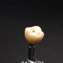 어울림 치과기공소 이미지