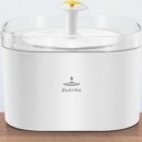 윌리하니 그루밍 이미지