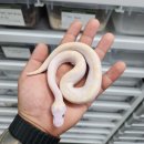 우성슈퍼 이미지