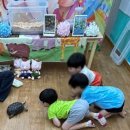 좋은친구 어린이집 | 꿈을 심어 주는 송파구 삼전동 새빛어린이집 후기)~~ (동물체험)🐚체리풋, 🐸픽시프록, 👁툭눈금붕어를...