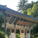 스테이봄바라미 | 남양주 진접 사찰 절 봉선사 연꽃축제 템플스테이 애견동반