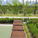 여울초등학교병설유치원 이미지