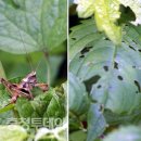 오늘의 포토뉴스(6/4) 이미지