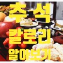 진점핑다이어트