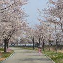 황금드림공인중개사사무소 이미지