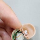 여주약국 | 여주보청기 당일 수리 후기, 고장났지만 바로 해결!