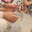 온양생태 이미지