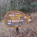 마비정 누리길 이미지