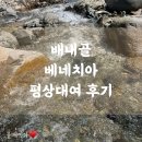 베네치아 | 여름 성수기 배내골 베네치아 평상대여 후기
