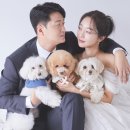 자운대 실내 골프연습장 이미지