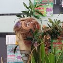 홍라경헤어샵