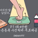 원웨이핏 이미지