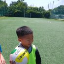 한국체대백궁태권도